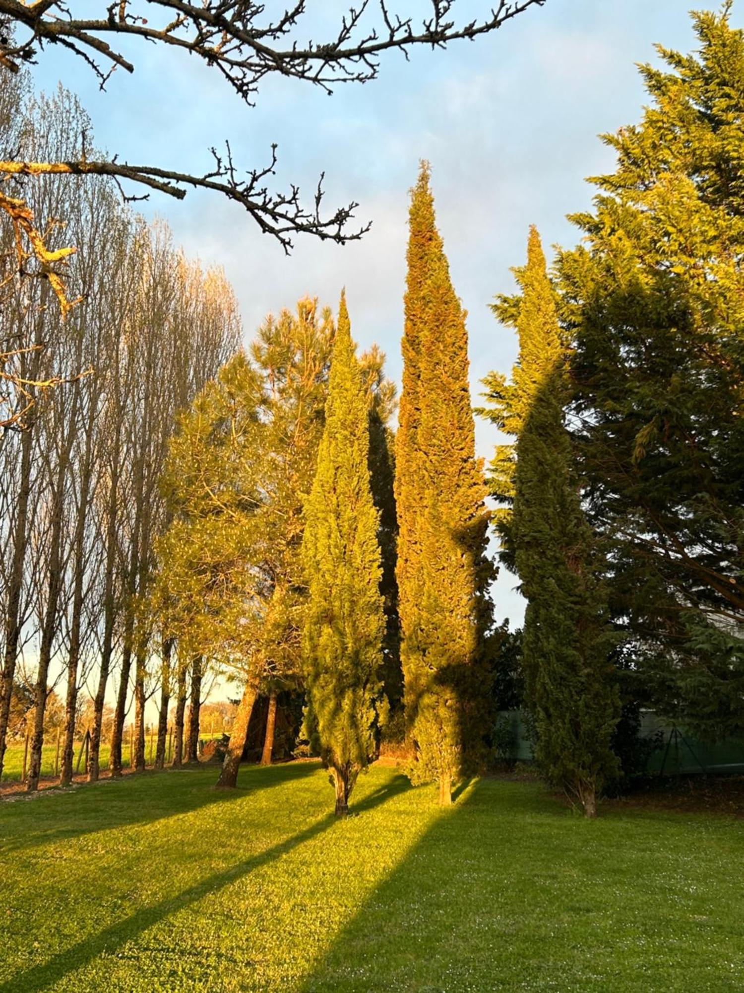 Domaine De La Gemoliere Acomodação com café da manhã Gémozac Exterior foto